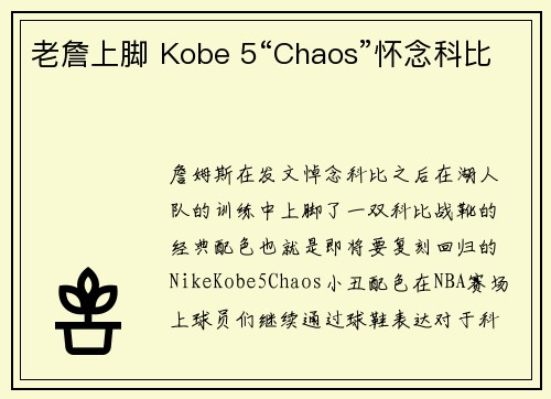 老詹上脚 Kobe 5“Chaos”怀念科比